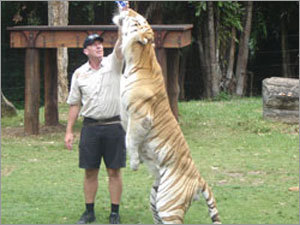 Sports Tours Services