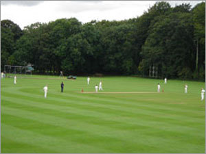 Cricket Tour Services