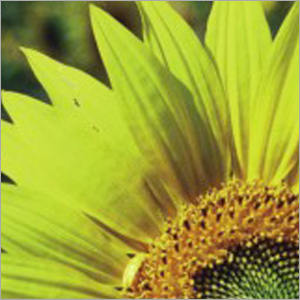 Organic Agriculture Certification