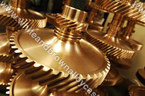 Worm Wheel Casting