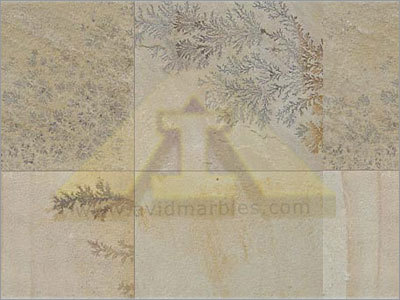 Fossil Sandstone