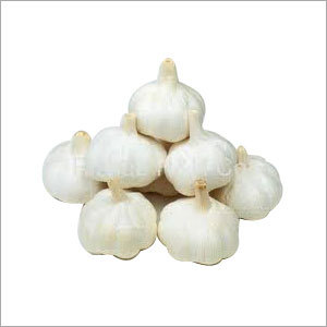 Garlic - White Color Variable Size | Flavorful Versatile Aromatic Fresh Natural Fragrant
