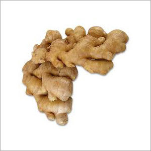 Ginger