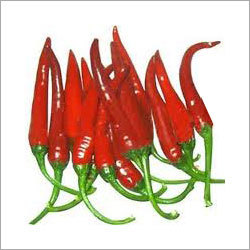 Red Chilli