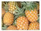 Pine Apple