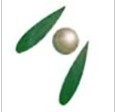 Flax seed oil softgel capsule By A & Z Group Co.,Ltd