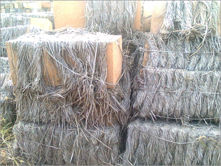 Slimnite Blocks