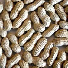 groundnuts