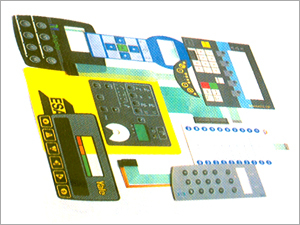 Membrane Switch