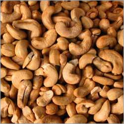 Cashew