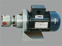 Cast Iron Motor Pump Assembly