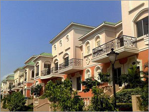 Property Rental