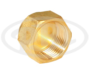 Brass Hex Dead Nut (BSP)