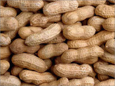 Peanut
