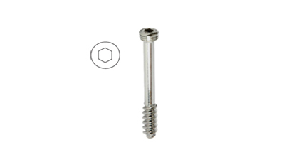 LCP Head Screws