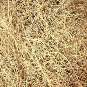 Coconut Coir Fibre