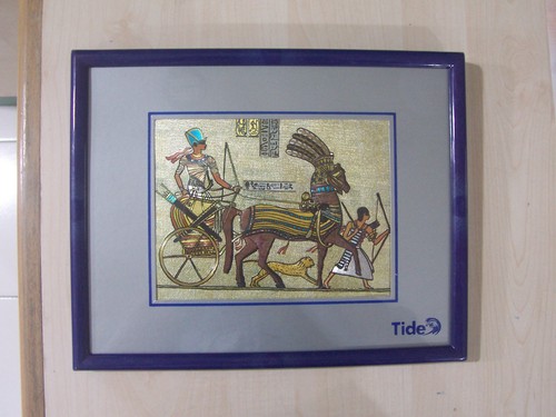 Plastic Customization