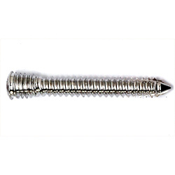 Locking Screw