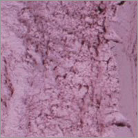 Dehydrated Red Onion Powder