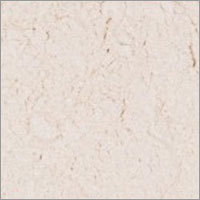Dehydrated White Onion Powder