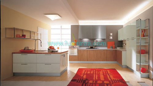 Modern Kitchen Cabinets