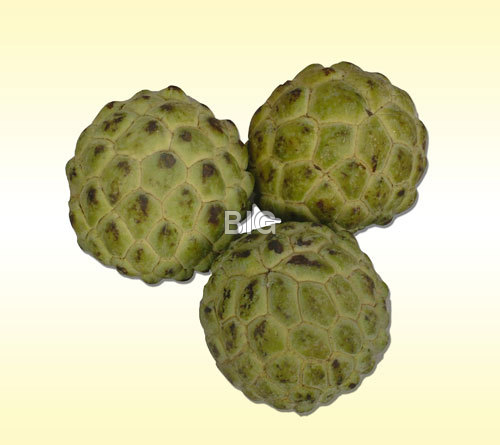 Custard-Apple