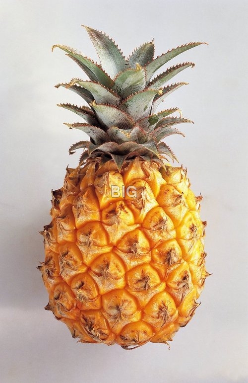 pineapple