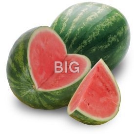 watermelon