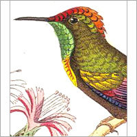 Offset Printing - High-Quality Paper Stock, Variable Dimensions, CMYK | 300 DPI, Vibrant Colors, Fine Detail