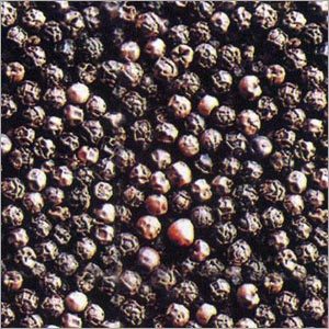 Black Pepper