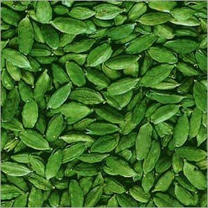 Cardamom