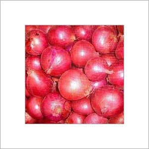 Fresh Onion