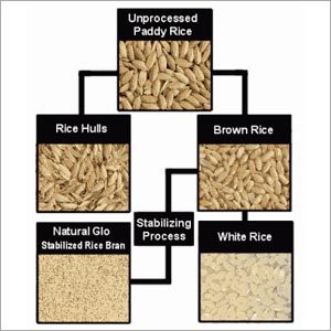 Unprocessed Rice