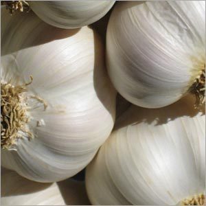 Fresh Indian Garlic