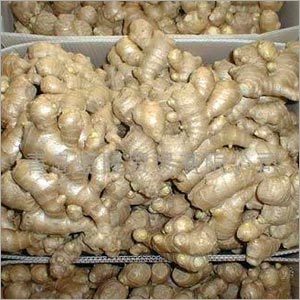 Fresh Ginger
