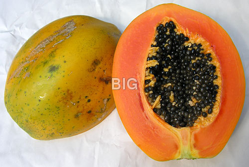 Papaya Fruit