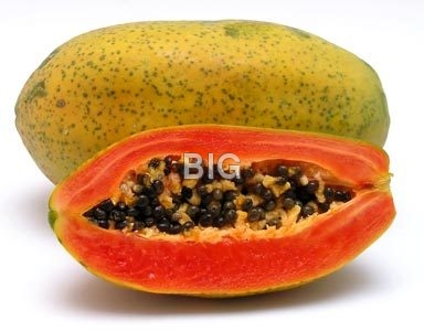 Papaya Fruit