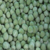 IQF Green Peas