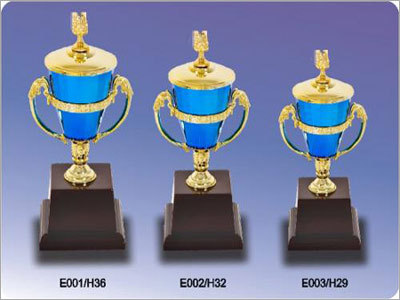 Acrylic Trophy
