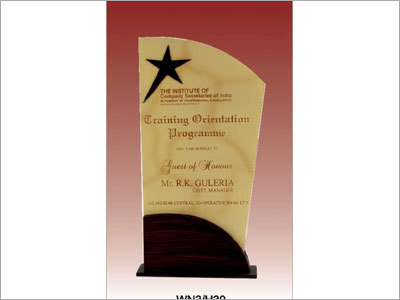 Corporate & Promotional Trophy - Solid Metal and Polished Wooden Design | 10 Inch Height, 5 Inch Width, Customizable Text, Elegant and Durable Finish