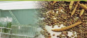 Natural Hydrocolloids