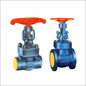 Forged Valves
