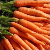 Carrot