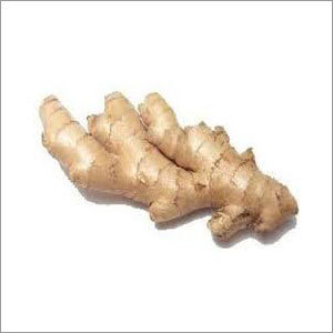 Ginger