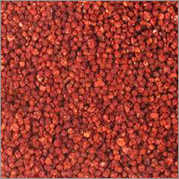 Gloriosa Superba Seeds