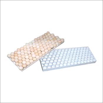 102 Eggs Settings Tray