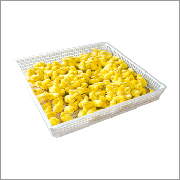 Hatcher Tray