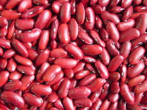 Kidney Beans
