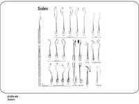Scalers