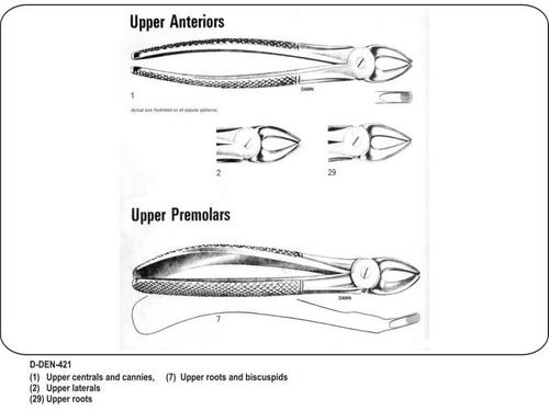  Upper Anteriors and Upper Premolars